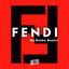 Cover Instru Fendi