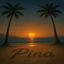 Cover PINA