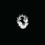 Cover The Besnard Lakes Are A Live