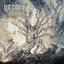 Cover Tracing Back Roots