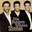 Cover Stimmen (Special Edition)