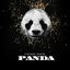 Cover Panda