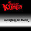 Cover Lagrimas De Amor