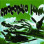 Cover CROCODILO FUNK