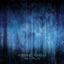 Cover Alone in the Mist