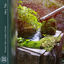 Cover Fairy Pools