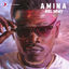 Cover Amina