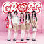 Cover GROSS