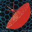 Cover Parabolicamará