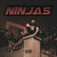 Cover Ninjas