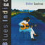 Cover Blues indigo