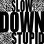 Cover Slow Down Stupid