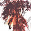 Cover Kiss In October