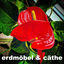 Cover winterblüher