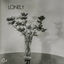 Cover Lonely