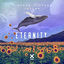 Cover Eternity