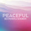 Cover Peaceful Beethoven & Schubert