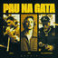 Cover Pau na Gata