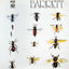 Cover Barrett (Deluxe Version)