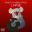 Cover Lapse