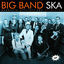 Cover Big Band Ska (Live)