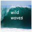 Cover Wild Waves