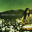 Cover When Everything Falls