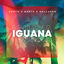 Cover Iguana