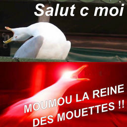 ''