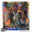 Cover Long Live DJ Shay