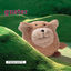 Cover Parachute