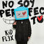 Cover No Soy Perfecto