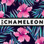 Cover Chameleon