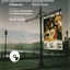 Cover Mayerling