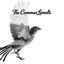 Cover The Common Linnets (Special Edition)