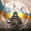 Cover ДИКЕ ПОЛЕ
