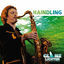 Cover Glanzlichter
