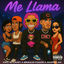Cover Me Llama