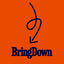 Cover Bring Down