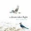 Cover A Dream Takes Flight