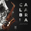 Cover Calabria