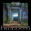 Cover Freedom (Sub Focus x Wilkinson x High Contrast Remix)