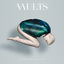 Cover Caught In Still Life