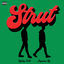 Cover Strut