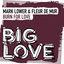 Cover Burn For Love