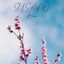 Cover Bloom