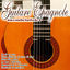 Cover Guitare Espagnole