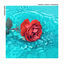 Cover Forever Mine