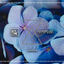 Cover I Got My Money