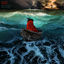 Cover Odyssee